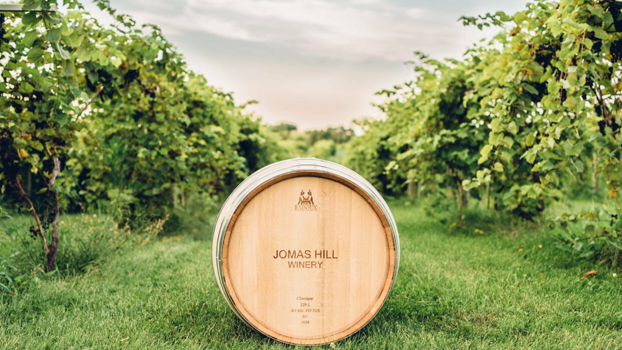 Jomas Hill Vineyard & Winery Local Minnesota Winery Darwin, MN